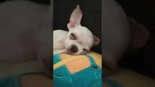 Richie is asleep