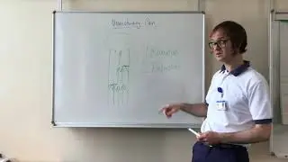 Pain Gate Theory