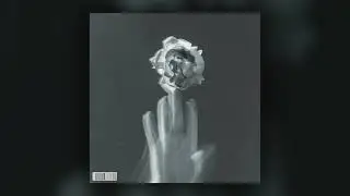 [FREE] LOOP KIT / SAMPLE PACK - 