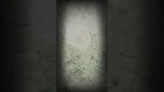 ЭТО ЁЖИК!!!!!
