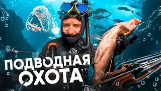 ЭКСТРЕМАЛЬНАЯ подводная ОХОТА на сазана в Астрахани. Столько Рыбы Я Ещё Не Видел!