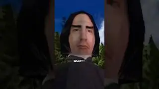 PS1 Snape is the real hero?