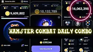 HAMSTER KOMBAT: Daily Combo Card | Hamster Withdrawal Update | June 12