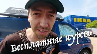 Какие курсы программирования выбрать? Платные vs Бесплатные курсы