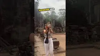 She was shocked by what this monkey did 😯
