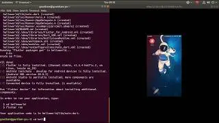 Flutter HelloWorld Application | Material Application Example