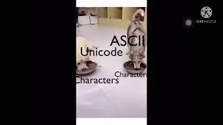 Unicode v.s. ASCII meme