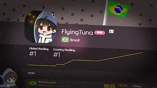 GOT 2x1100 PP FROM BRAZIL AGAIN