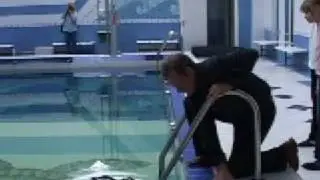 Открытие клуба 