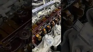 Отложения от плохого масла или редкой замены? 