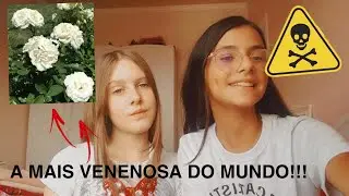 SE VOCÊ VER ESTA PLANTA...FUJA!!!🌍