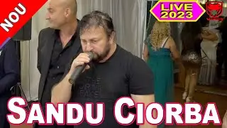 Sandu Ciorba - Printul - Nunta Madalin si Diana 03