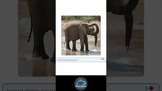 Real-Time AI Image Generation with ClipDrop's Stable Diffusion Turbo Model 