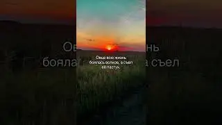 Tаков закон.