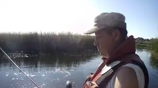 160 Осенние приманки работают/ Ловим хищника на воблеры и блесны /Fishing bass/Volga