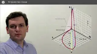 Компьютерная графика: основы - 20 урок. Устройство глаза