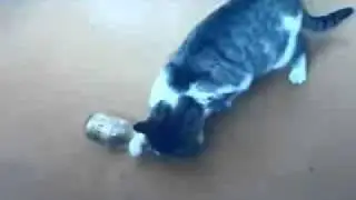 ǤIᖇ丅ᗩᔕ ᛕᗩ丅Iᑎᗩᔕ