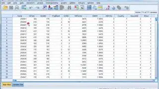 SPSS Interface: data editor