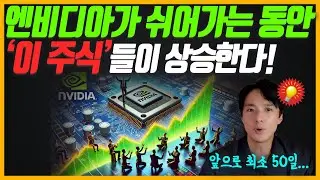 엔비디아가 '이때'까지 쉬어가는 동안 '이 주식'들이 상승할 거예요.