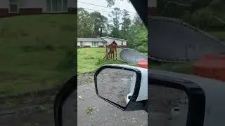 Tornado 2019