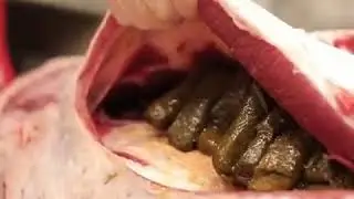 Что он творит на кухне 2
