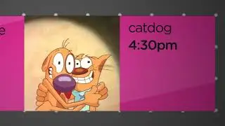 Cartoon Network | Check It 1.0 x6 Lineup - BATB, CatDog, TNWS, J&NPA, Puss, & Flash [FANMADE]