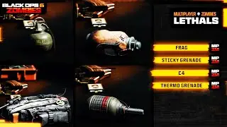BLACK OPS 6 ALL LETHAL, Tactical & Field Upgrade Equipment - BO6 Lethals Loadout