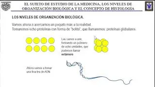 LOS NIVELES DE ORGANIZACIÓN BIOLÓGICA-01 Y EL CONCEPTO DE HISTOLOGÍA