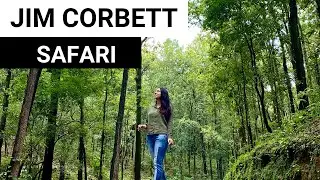 JIM CORBETT  NATIONAL PARK  SAFARI VLOG | Tandoori Chai | Sterling Corbett | Ramnagar Vlog