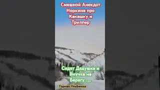 13 июня 2024 г.