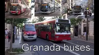 Buses in Granada (autobusy w Grenadzie)