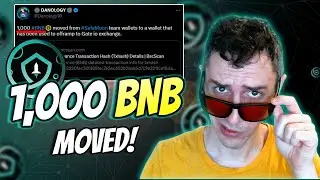 1,000 BNB MOVED From SafeMoon Team Wallets? | Cross Chain Seeding?