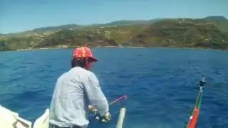 pesca, Pargo, ao Jigging, Madeira Team ,amberjack