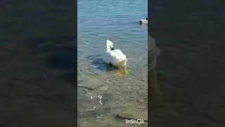 хэерле иртэ,рэхэт  утсен конегез дэ☀️🌼🌿🌺