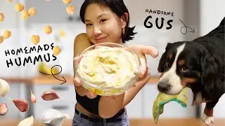 first attempt at homemade hummus: girls' night with a furry friend