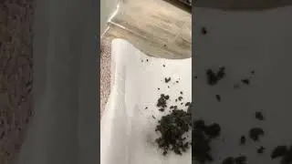 #doityourself
