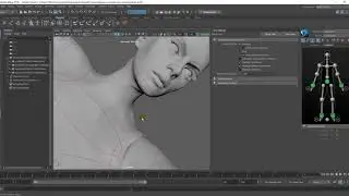 Влияния костей в Maya и их настройка