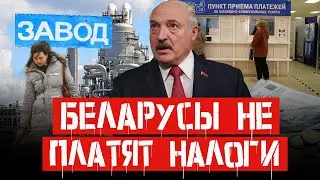ЛУКАШЕНКО КИНУЛИ НА ДЕНЬГИ. Полк 