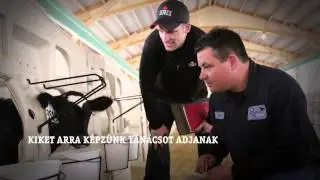 Génbank-Semex Magyarország Kft. promó videó