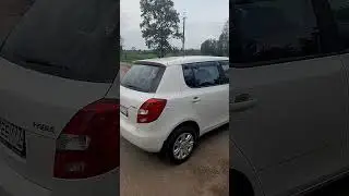 Красивая и элегантная #catlover #cat #kitten