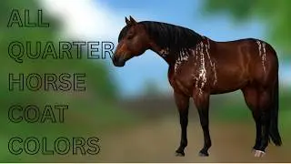 *SPOILER!* ALL 8 QUARTER HORSE COATS! STAR STABLE ONLINE (SSO)