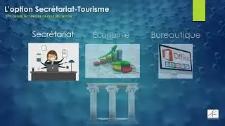 Présentation des options 