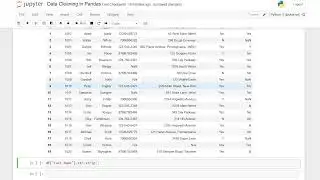 Data Cleaning in Pandas | Python Pandas Tutorials