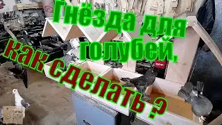 Как сделать гнёзда для ГОЛУБЕЙ
