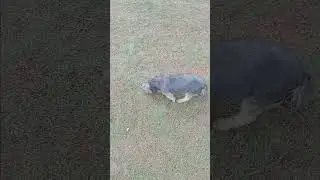 maik está melhorando graças à Deus