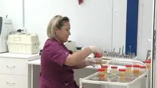 ПЦР Лаборатория