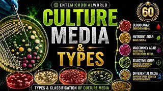 Complete Guide to Culture Media in Microbiology | Types & Uses for Beginners 
