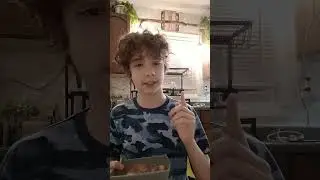 Garlic Knots