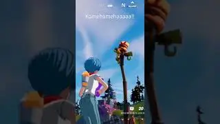 Kamehamehaaaa!!?
