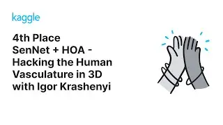 Kaggle Solution Walkthroughs: SenNet + HOA - Hacking the Human Vasculature in 3D with Igor Krashenyi